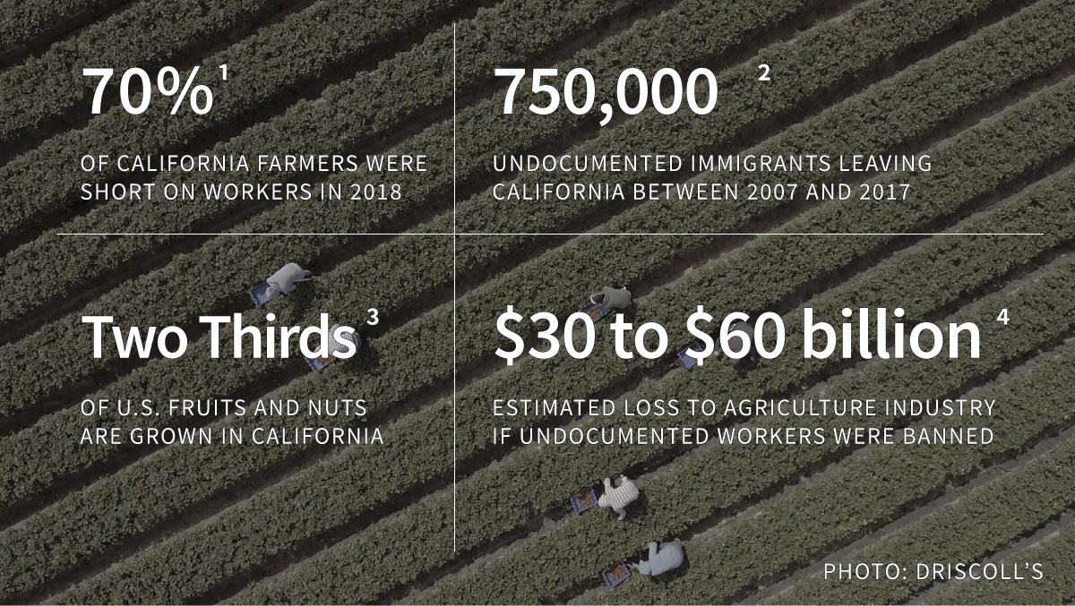 Farm worker statistics