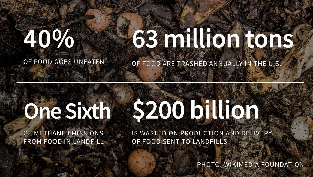 Food waste statistics