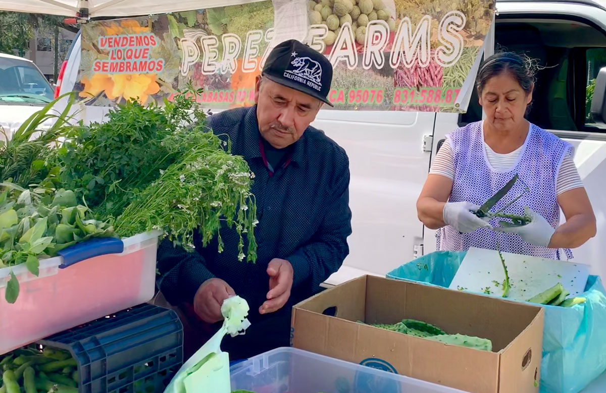 Luis Perez, the owner and founder of 20-acre Perez Farms. 