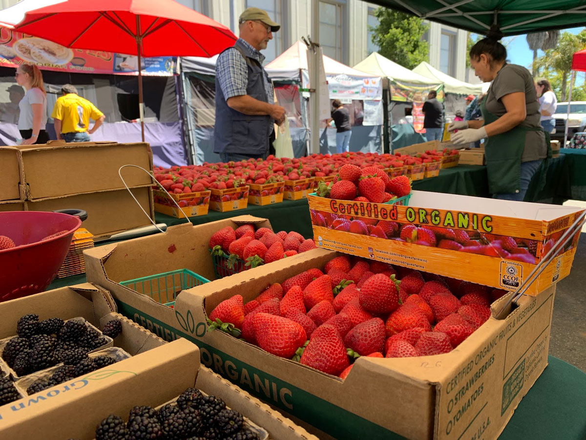 Angelica Rodriguez sells berries from her brothers’ farm, Rodriguez Farms.