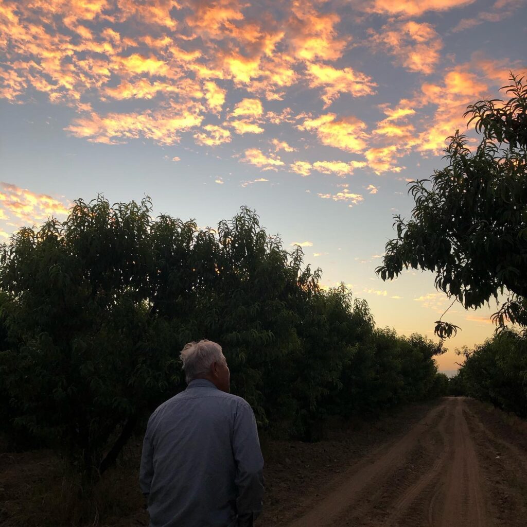 David Mas Masumoto on the farm in May 2020