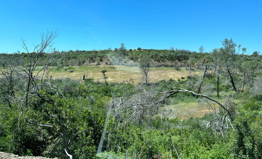 Nearly five years later, much of Paradise remains frozen in time, little filling the emptiness left by the Camp Fire.  