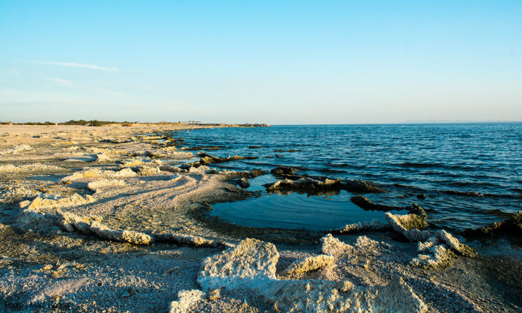 Ground-level view of the Salton Sea shoreline in 2015, showing waves lapping on sand and salt crusts. Credit: Marc Cooper via Flickr