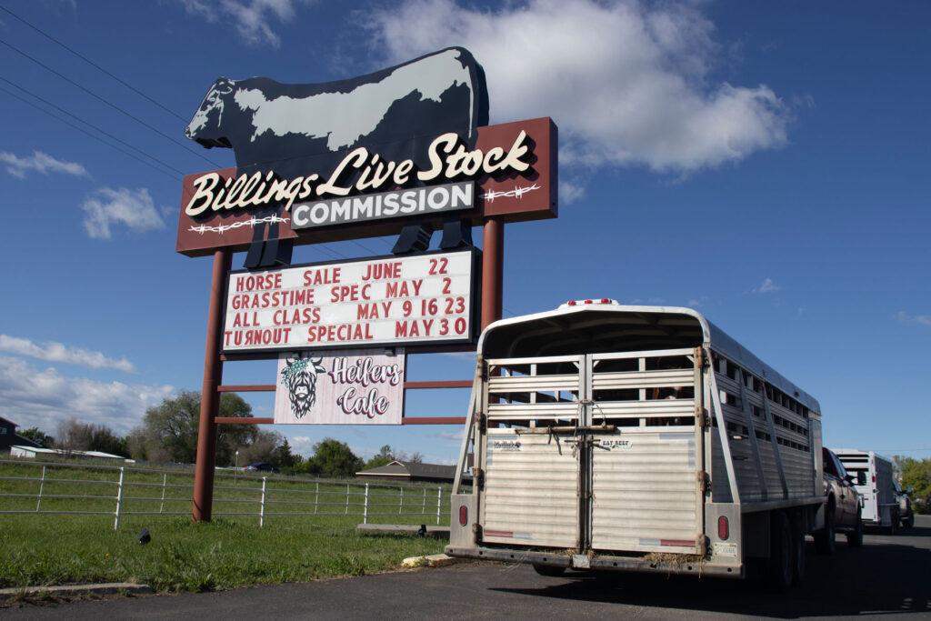 The Livestock Commission in Billings, Mont.