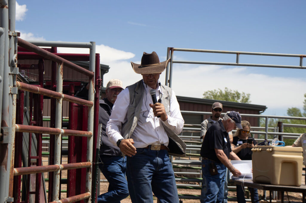 Pate demonstrates cattle handling techniques at a seminar outside of Denver.