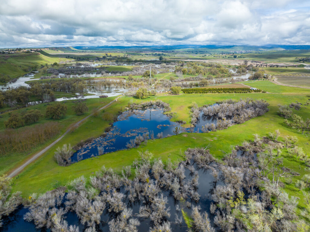 A groundwater recharge project at Ball Ranch near the San Joaquin River in Madera County, California in March 2023. 