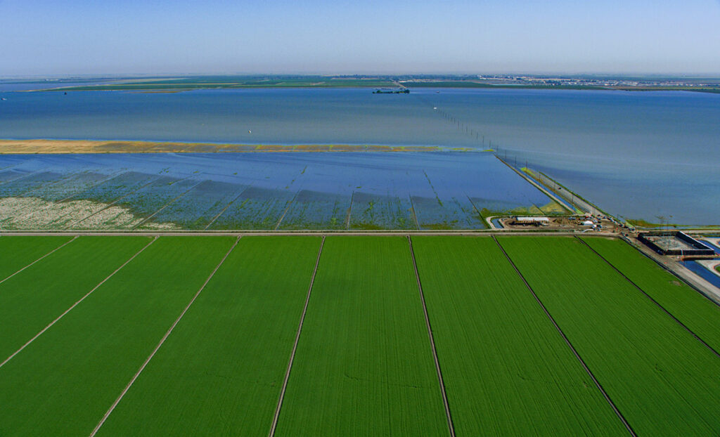Floodwater from winter runoff covered agricultural land in Tulare County in the spring of 2023. Tulare Lake had been the largest freshwater lake west of the Mississippi River, but was largely drained in the late 19th and early 20th centuries for agriculture. 
