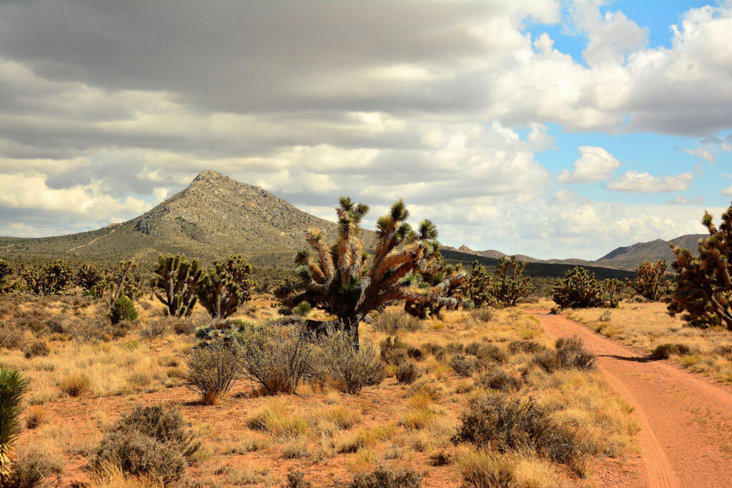 Kokoweef Mountain in the Mojave National Preserve, not far from the Mountain Pass mine. Blake Lewis via Flickr