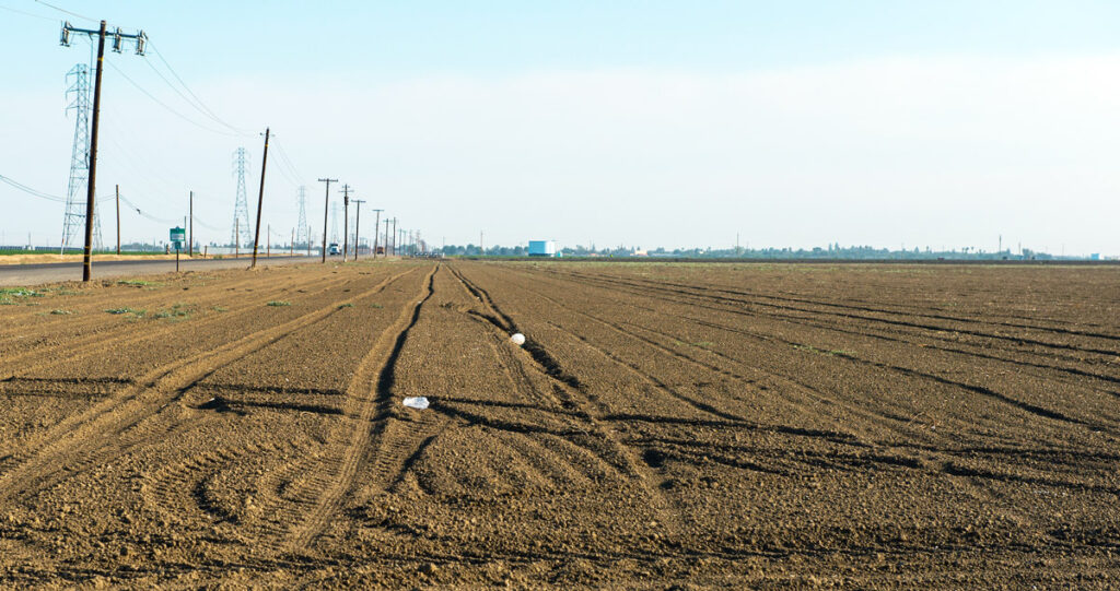 A field left uncultivated in Huron, California in July 2015, during a severe drought period. Cutbacks to water supplies could result in the mass fallowing of agricultural fields. Kelly M. Grow/ California Department of Water Resources